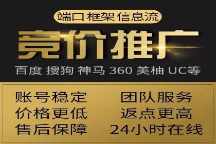 行业领先企业的网络推广与竞价经验